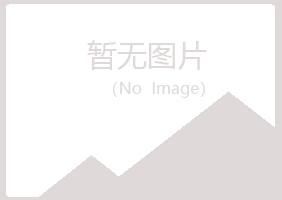 秦皇岛字迹艺术有限公司